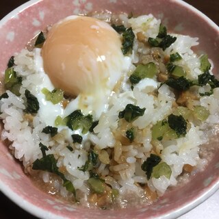 私の納豆ごはん